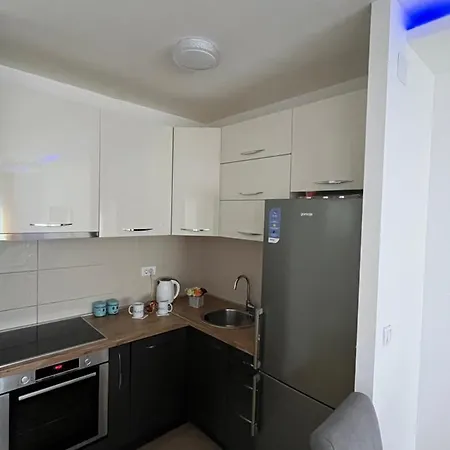 Paunov Breg Apartment Belgrade