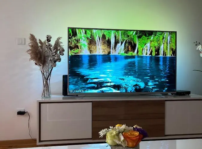 公寓 Paunov Breg 贝尔格莱德