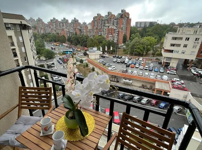 Paunov Breg * 贝尔格莱德